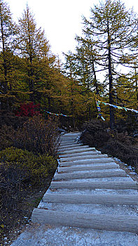 仙乃日神山