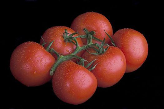 束,西红柿,隔绝,黑色背景