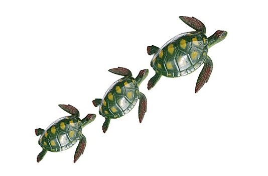 家庭,三个,海龟