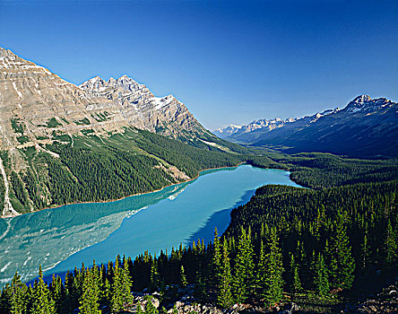 佩多湖,班芙国家公园,艾伯塔省,省,加拿大