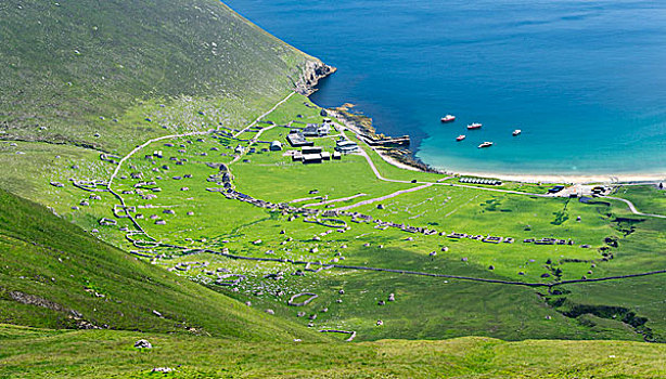 岛屿,群岛,苏格兰,乡村,湾,住宅区,大幅,尺寸