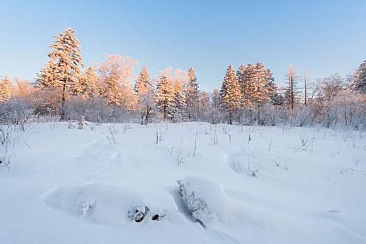 冬季长白山的雪地和雾凇