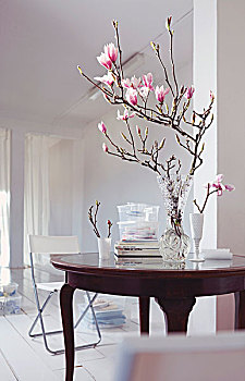 木兰,嫩枝,玻璃花瓶,老式,桌子,白色,房间