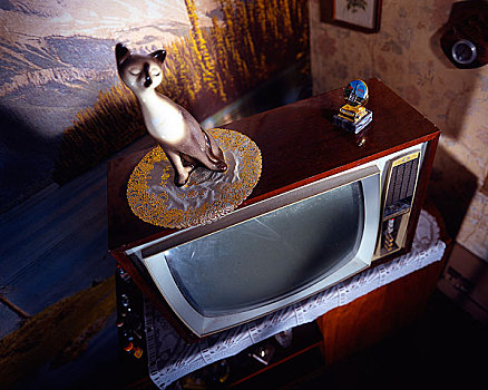 猫,雕塑,电视