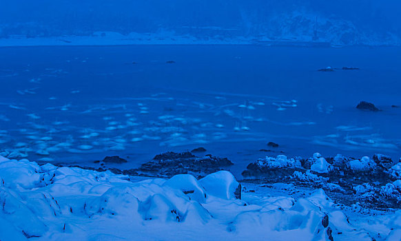 山东威海俚岛镇烟墩角拍摄的冬天雪地天鹅风景