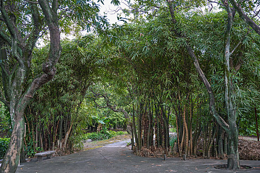 羊城广州初秋下午杨桃公园美景