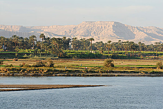 海岸线,尼罗河,路克索神庙,尼罗河流域,埃及,非洲