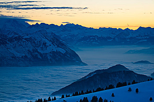 晚间,山丘,远眺,阿尔卑斯山,瑞士,欧洲