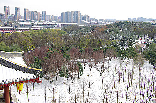 陕西西安大唐芙蓉园雪景