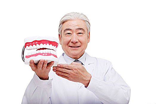 東方牙醫拿著牙科模具