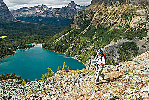 女人,远足,湖,高山,电路,高处,幽鹤国家公园,不列颠哥伦比亚省,加拿大