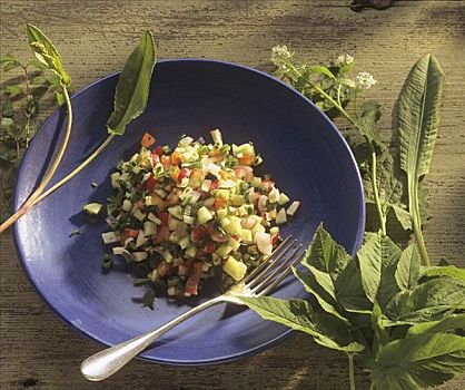 蔬菜沙拉,新鲜,野生药草