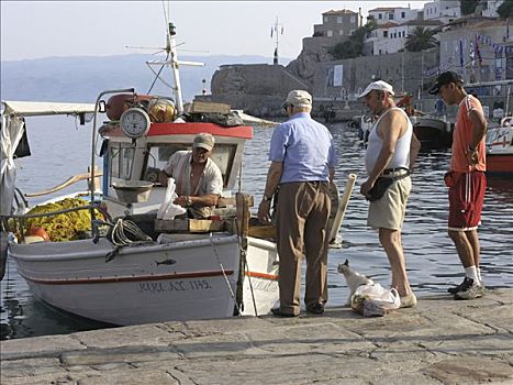 港口,捕鱼者,销售,抓住,清新,船,伊德拉岛,萨罗尼克湾,岛屿,希腊