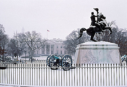 雄伟,雕塑,政府建筑,冬天,雪,广场,白宫,华盛顿特区,美国