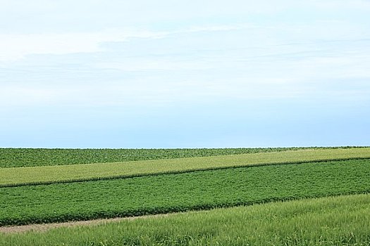 道路,拼合