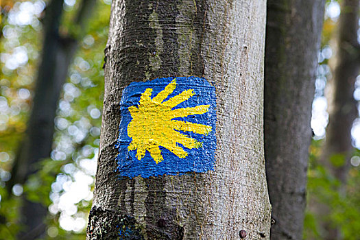 标识,道路,树,北莱茵威斯特伐利亚,德国,欧洲