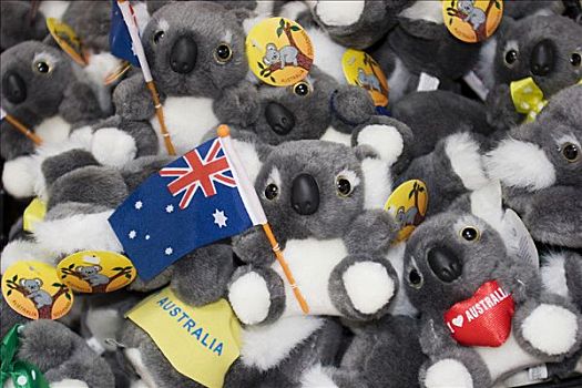 树袋熊,熊,填充玩具,纪念品,澳大利亚