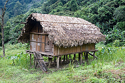 小屋,传统,茅草屋顶,风格,山谷,山,东北方,印度