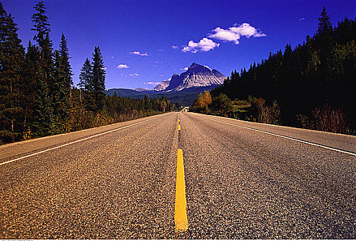 公路,靠近,不列颠哥伦比亚省,边界,艾伯塔省,加拿大