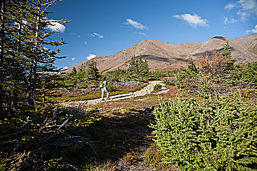 女人,远足,阿尔卑斯山,区域,楚加奇州立公园,隐藏,湖,坡道,小路,楚加奇山,阿拉斯加,秋天