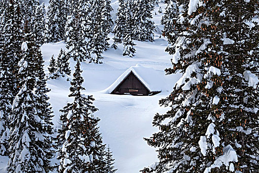 冬季风景,房子,卡林西亚