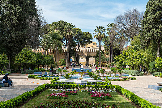 城市公园,喷泉,花,花园,摩洛哥,非洲