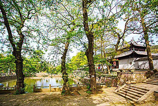 寺院,寺庙,建筑