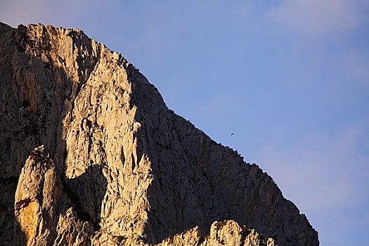 白肩雕,飞,靠近,山,岩石,阿斯图里亚斯,西班牙