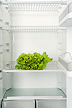 束,绿色,新鲜,沙拉,空,冰箱