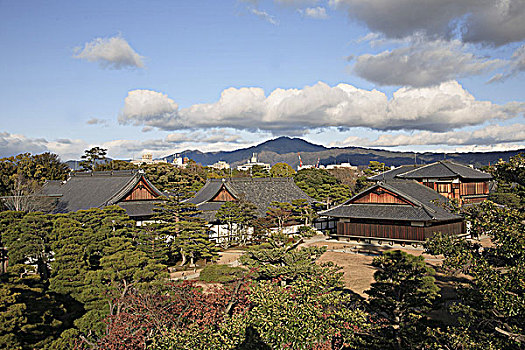 日本,关西,京都,二条城,宫殿,花园