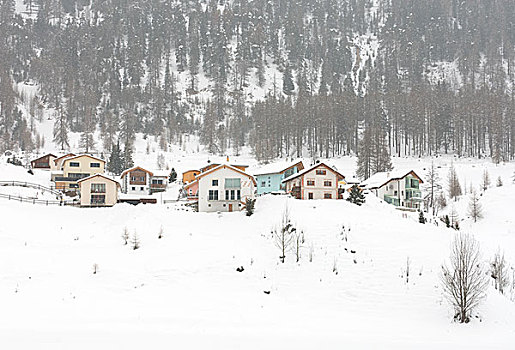 房子,暴风雪,意大利北部