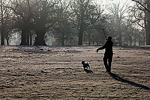 遛狗,冬天,早晨,格林威治公园,格林威治,伦敦,英格兰,英国