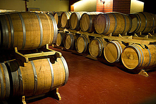 酒窖,许多,葡萄酒桶