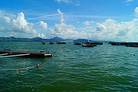 深圳蛇口海域风光