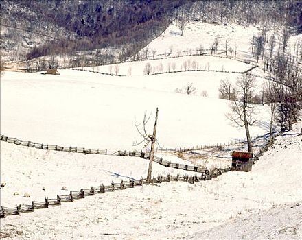 围栏,积雪,风景,高地,弗吉尼亚,美国