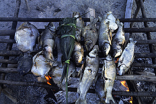 亚马逊河,秘鲁,乡村,鱼肉,烧烤