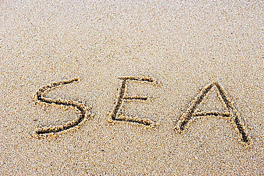 文字,海洋,书写,沙子,海滩