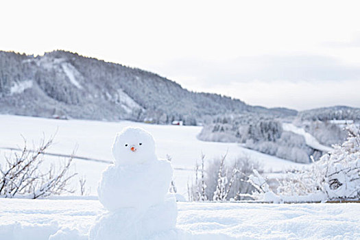 雪人,雪景,特隆赫姆,挪威