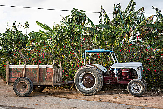 拖拉机,拖车,停放,路边,维尼亚雷斯,古巴