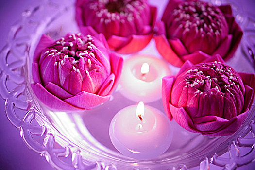 莲花,漂浮,蜡烛