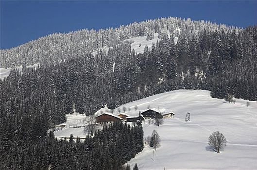 积雪,高山,冬天,靠近,萨尔茨堡,奥地利