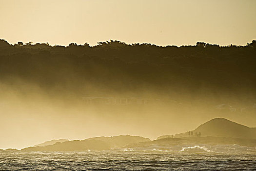 海岸线,雾,沙丁鱼,东开普省,南非