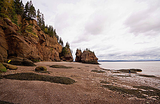 退潮,霍伯威尔岩,芬地湾,新布兰斯维克,加拿大