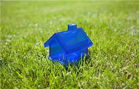 小,蓝色,房子,青草