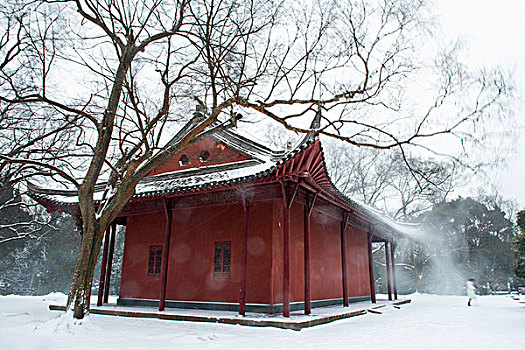 明孝陵冬雪