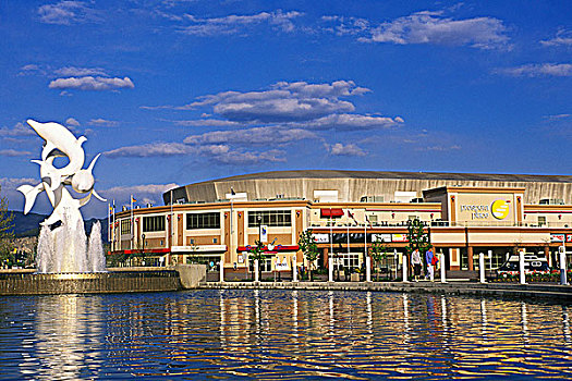海豚,雕塑,喷泉,中心,竞技场,科隆那,不列颠哥伦比亚省,加拿大