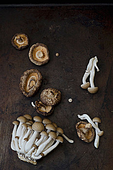 哈玛库亚,蘑菇,干燥,香菇