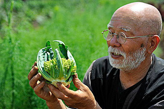 男人,看,花椰菜