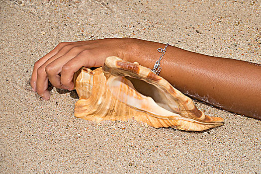 女人,拿着,海螺壳,海滩,荷属安的列斯,大幅,尺寸