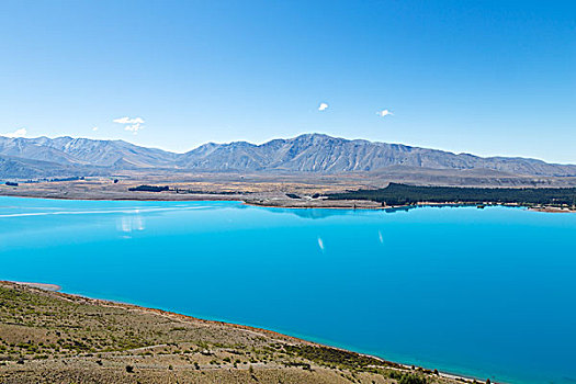 风景,湖,夏天,新西兰